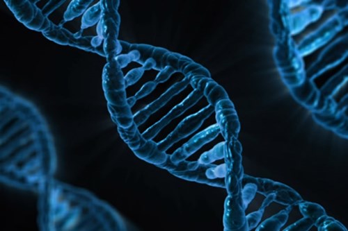 Genetic