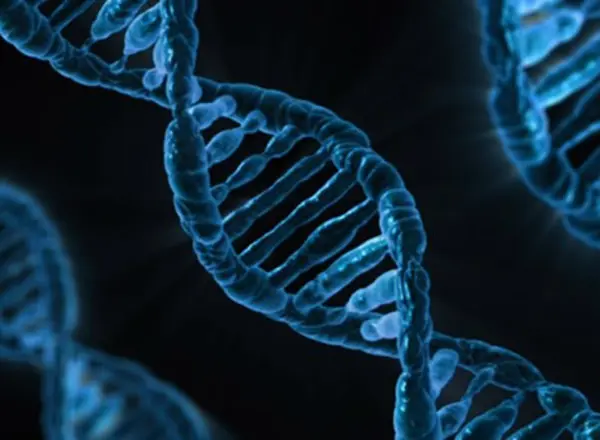 Genetic