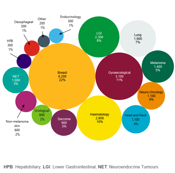 A graphic showing the breakdown by disease group for female patients at The Christie. The most common cancer type seen in our female patients is breast cancer seen in 22% of female patients. Haematological cancers are seen in 10% of female patients, gynaecological cancers are seen in 11% of female patients, lower gastrointestinal cancers are seen in 8% of female patients, lung cancers are seen in 7% of female patients, melanoma is seen in 5% of female patients, head and neck cancers are seen in 4% of female patients, neuro-oncology cancers are seen in 4% of female patients, sarcomas are seen in 3% of female patients, neuroendocrine cancers are seen in 3% of female patients, urological cancers are seen in 2% of female patients, oesophageal cancers are seen in 1% of female patients, hepatobiliary tract cancers are seen in 1% of female patients, non-melanoma skin cancers are seen in 2% of female patients, and endocrinology cancers and other endocrinology related issues are seen in 1% of female patients.
