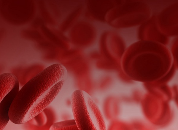 Principles of Haematology Oncology - 15 credit Module
