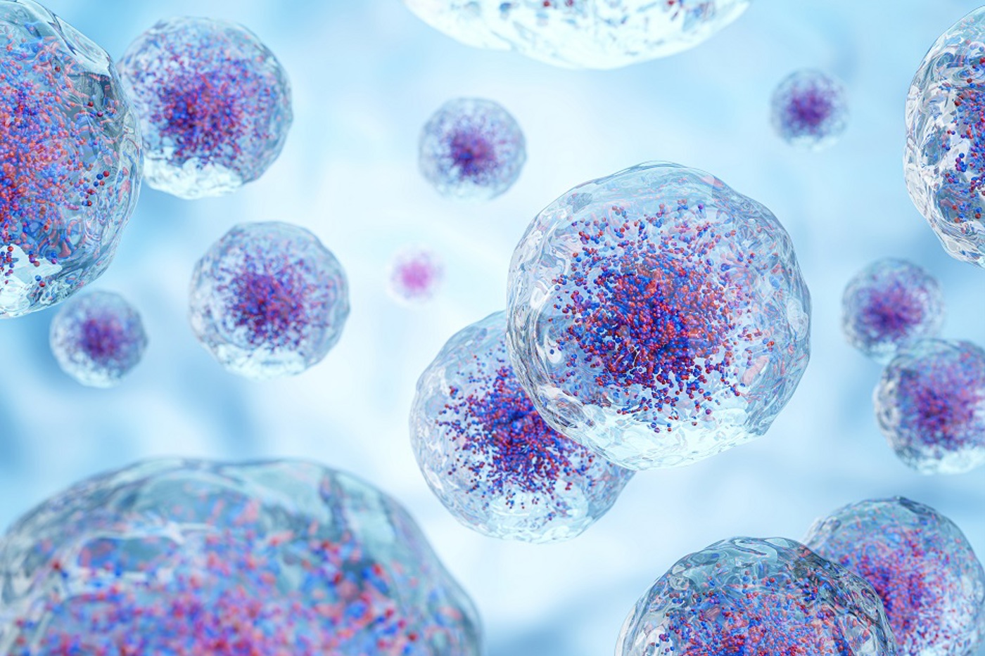 A graphic showing potentially cancerous cells.