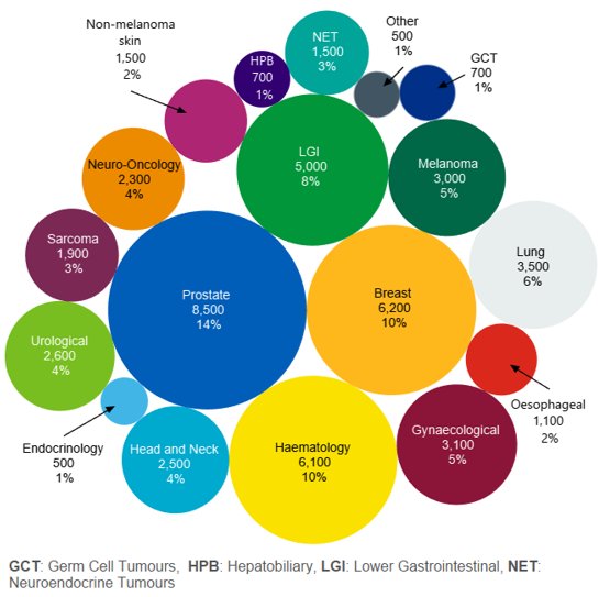 A graph showing a breakdown of Christie patients by disease group. The most common cancer types are&nbsp;prostate cancers&nbsp;seen in 14% of our patients, breast cancers&nbsp;seen in 10% of patients, and haematological cancers, seen in 10% of our patients, lower gastrointestinal cancers are seen in 8% of patients. Melanoma is seen in 5% of patients, gynaecological cancers are seen in 5% of patients, lung cancers are seen in 6% of patients, head and neck cancers are seen in 4% of patients, non-prostate urological cancers are seen in 4% of patients, neuro-oncology cancers are seen in 4% of patients, sarcomas are seen in 3% of patients, non-melanoma skin cancers are seen in 2% of patients, oesophageal cancers are seen in 2% of patients, hepatobiliary&nbsp;tract cancers are seen in 1% of&nbsp;patients, neuroendocrine tumours are seen in 3% of patients, germ&nbsp;cell tumours are seen in 1% of&nbsp;patients and endocrinology cancers and other endocrinology related issues are seen in 1% of patients.