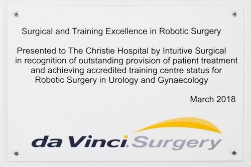 Surgical and training excellence in robotic surgery