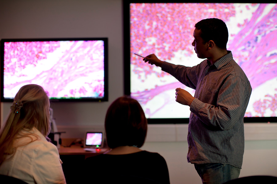 presentation, education, scan