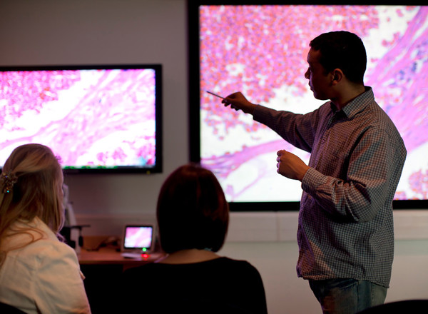 presentation, education, scan