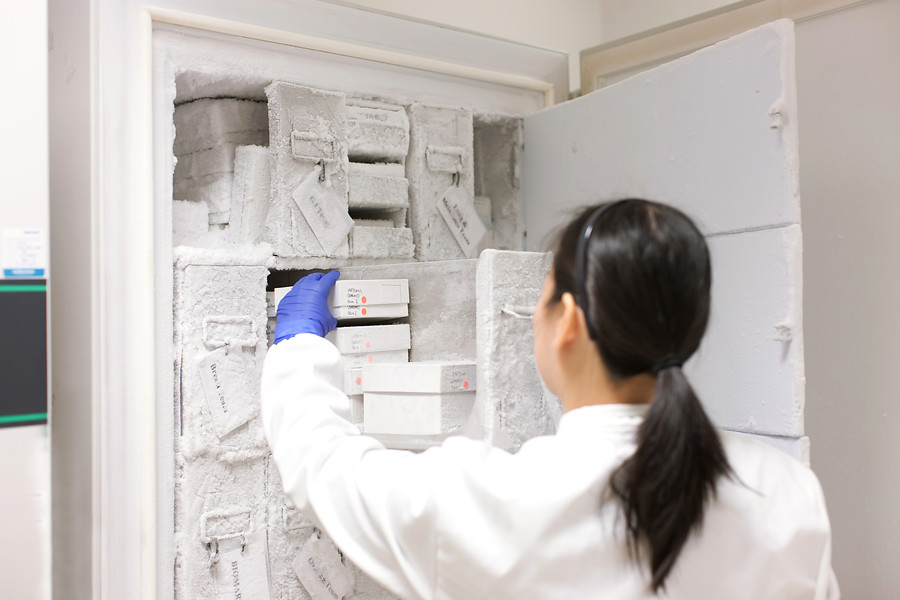 samples, clinical research, freezer
