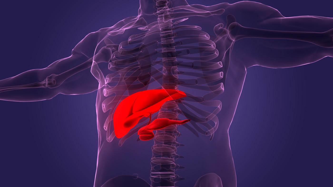 On Demand Diabetes And Cancer Study Day