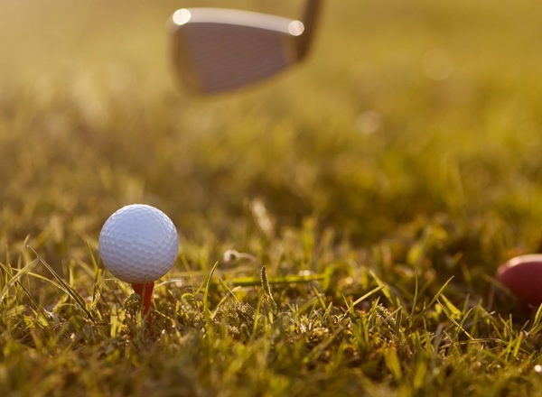 Organise a golf day