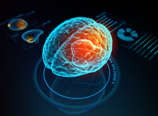 Brain Metastases Study Day