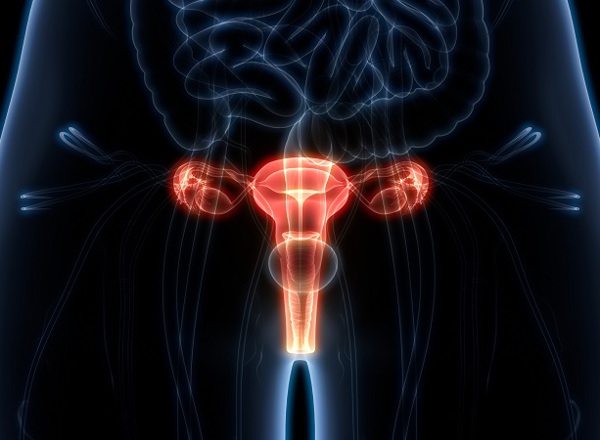 Gynaecology Study Day: On-Demand