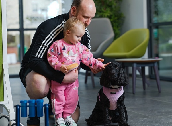 A photo of Lilo the therapy dog being petted by toddler Ellie-Mae Shirley with her dad Adam.