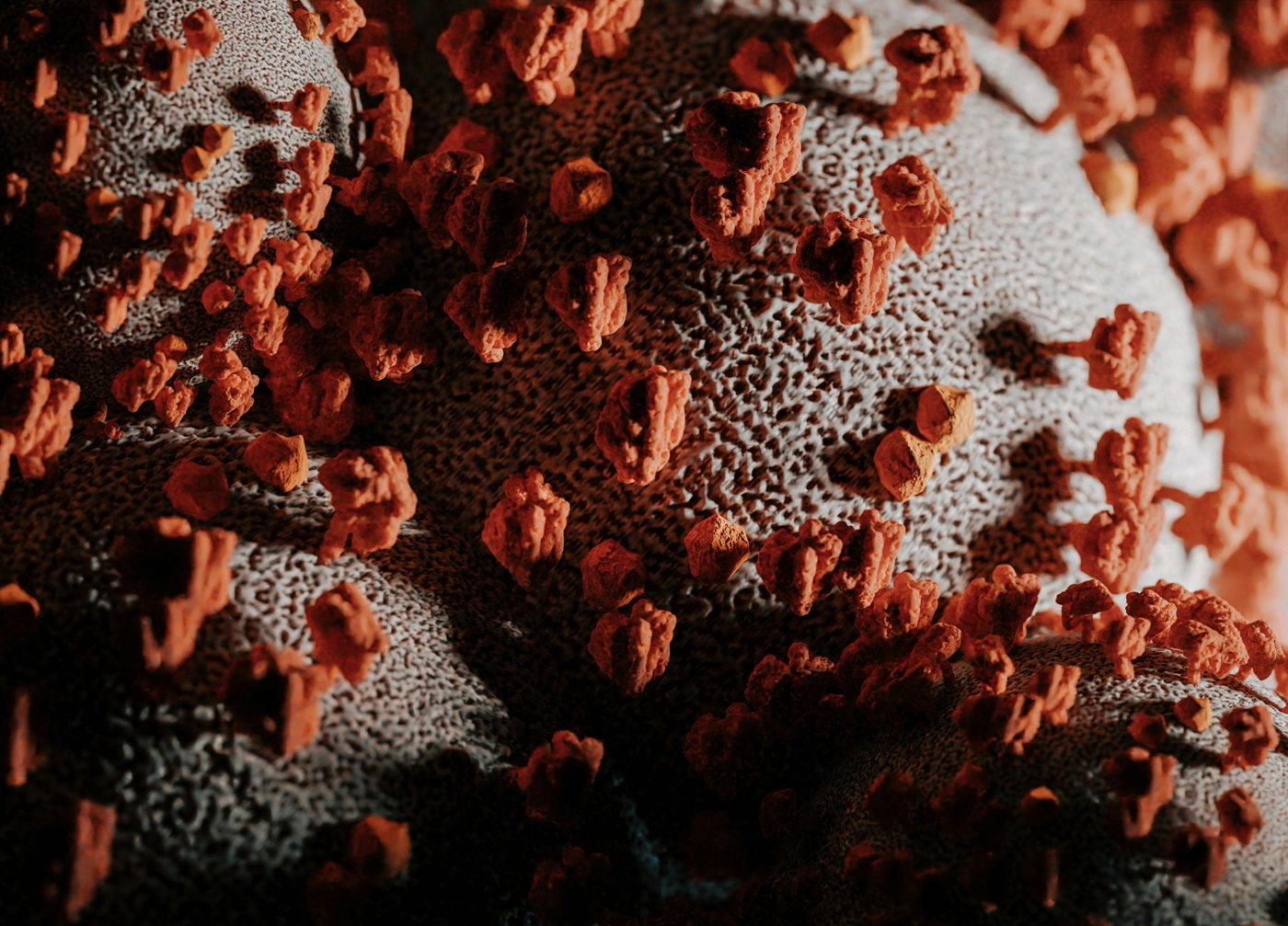 Bispecific Antibodies In Oncology Pic (002)