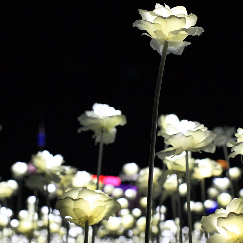 Garden Of Hope Image 3 RT FLAT RGB