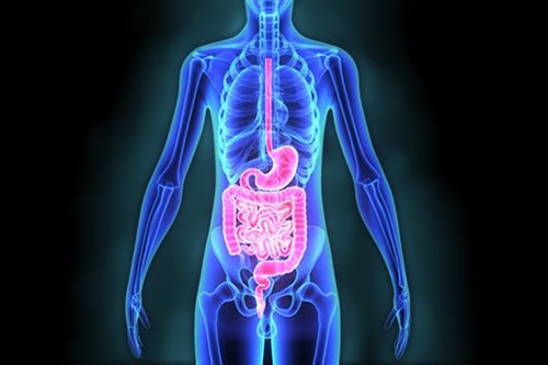 Neuroendocrine Tumours