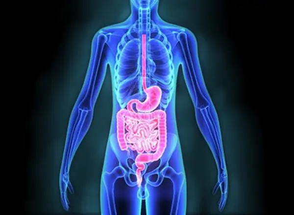 Neuroendocrine Tumours